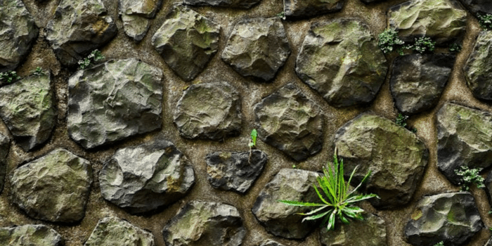 4 Strategies to Promote a Small Website